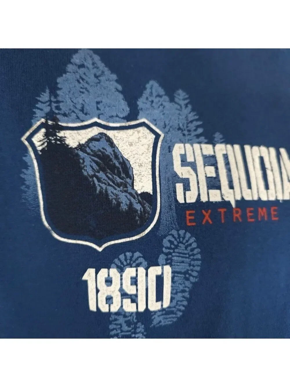Sequoia National Park T Shirt Mens Size Small Blue Extreme Outdoor Experience